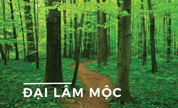 Đại Lâm Mộc là gì? Tính cách, vận mệnh của người mệnh Đại Lâm Mộc