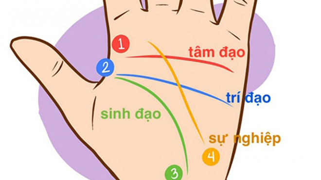 Xem đường chỉ tay nữ giới đoán sự nghiệp, tình duyên